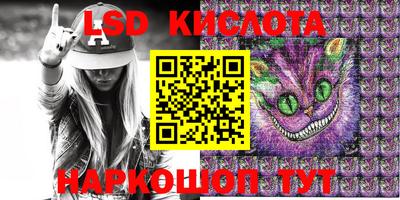 тгк Новозыбков