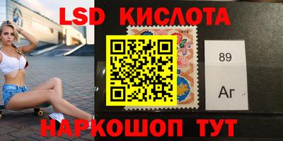 гидра Новодвинск