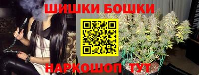тгк Новозыбков