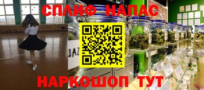 гидра Новодвинск
