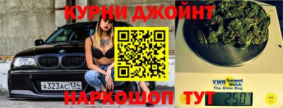 гидра Новодвинск
