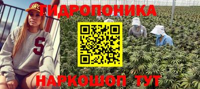 apvp Новокубанск