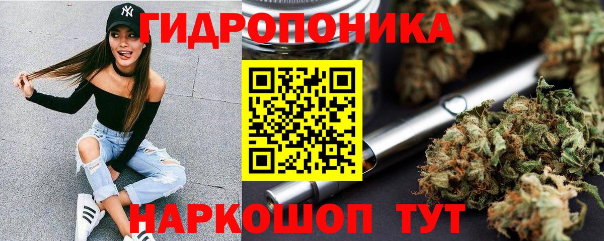 Канабис Ganja  Конопля ГИДРОПОН  Сегежа  Вход с VPN 